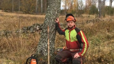 Swedish Homestead-serien: Hur man fäller ett träd – säkert och med precision 